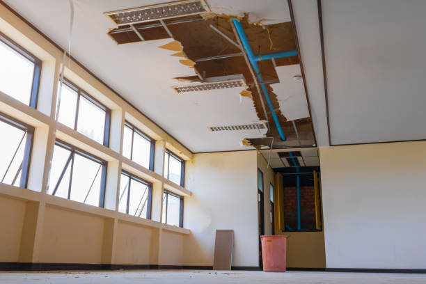Best Water damage restoration process  in Fontana, CA