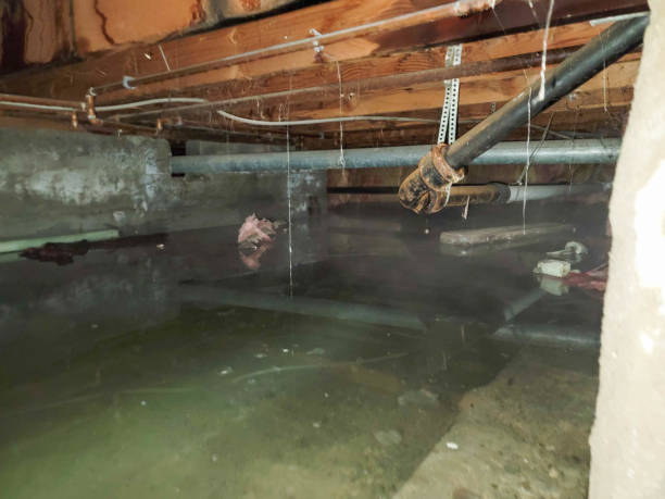 Best Professional water damage repair  in Fontana, CA