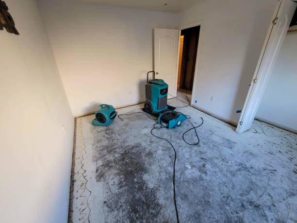 Best Flood restoration services  in Fontana, CA