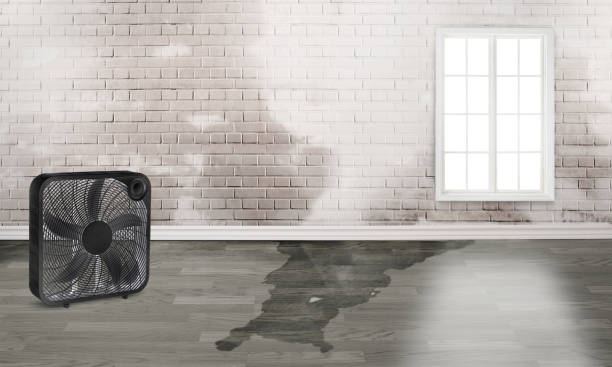 Best Water damage restoration mold remediation  in Fontana, CA