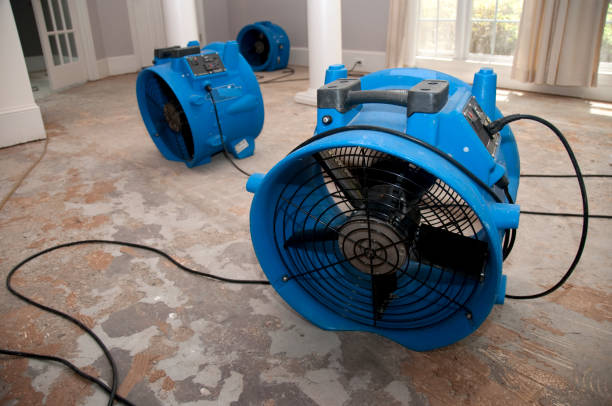 Best Flooded house restoration  in Fontana, CA