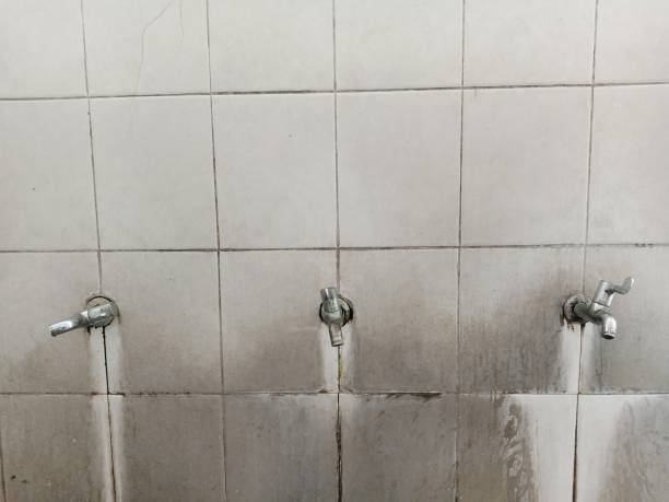 Best Water damage restoration cost  in Fontana, CA
