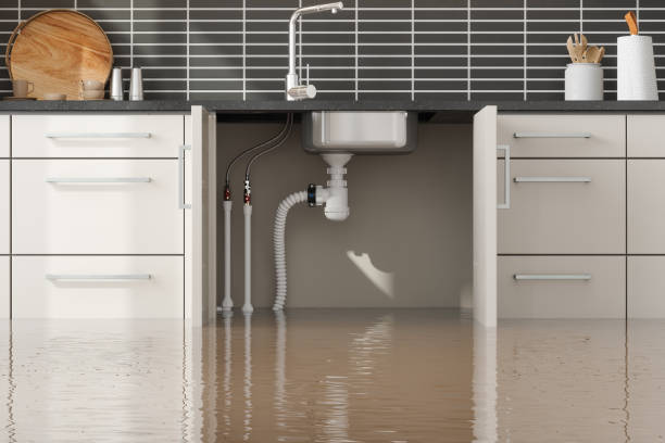 Best Water damage contractors near me  in Fontana, CA