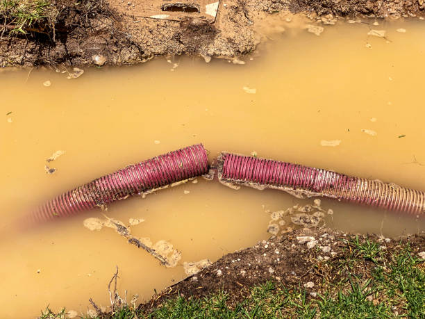 Best Residential water damage restoration  in Fontana, CA
