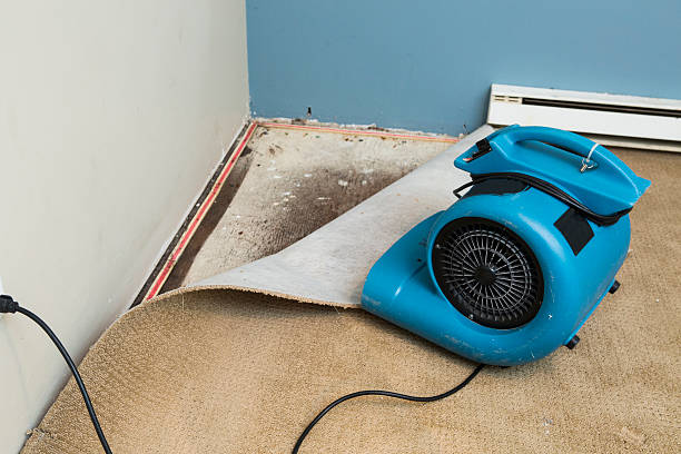 Best Basement water damage restoration  in Fontana, CA